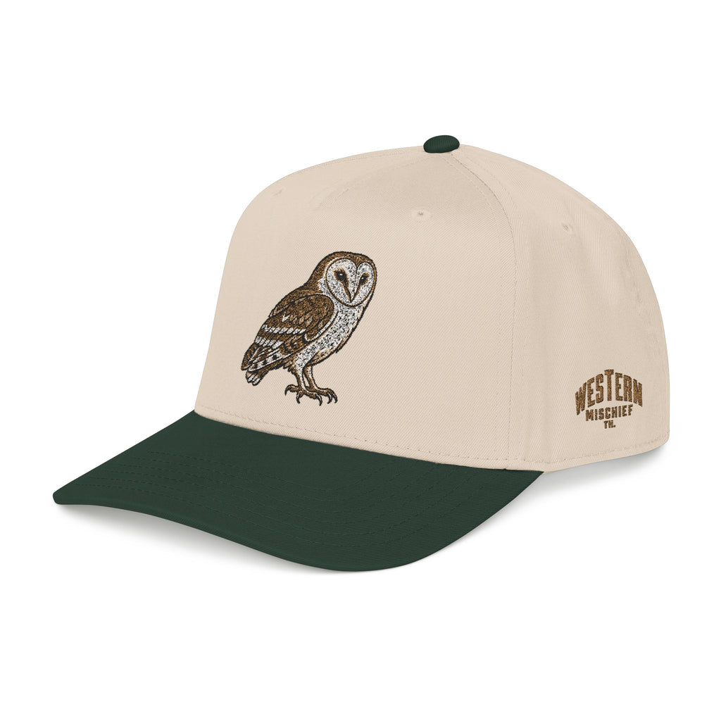 Stay Up Late Owl Embroidered Snapback