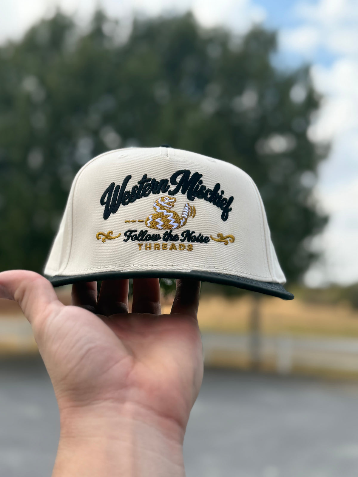 Follow the Noise Diamond Back-Snapback