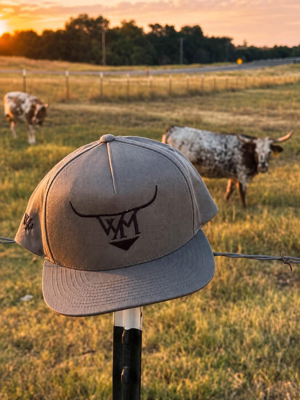 Embroidered Longhorn Limited Flat Bill