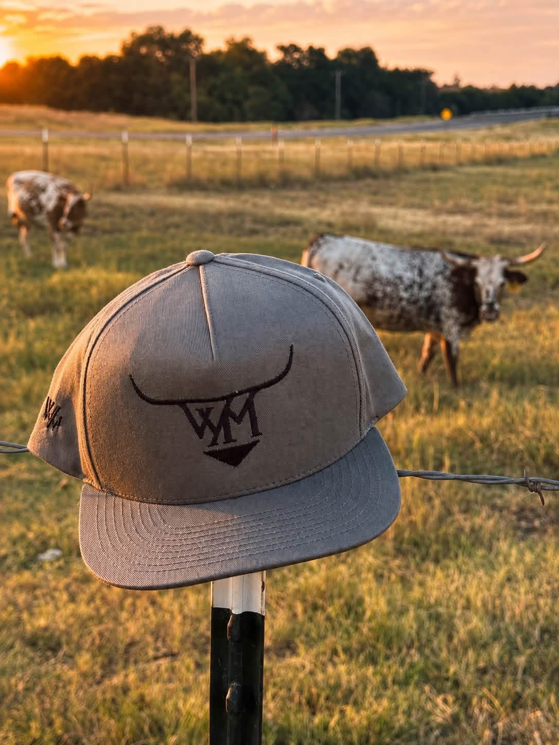 Embroidered Longhorn Limited Flat Bill